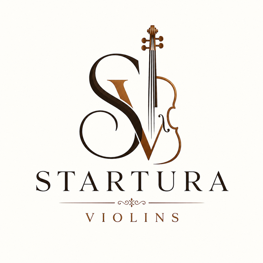 Statura Violins 4/4 full size violin
