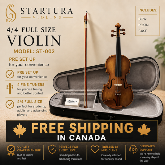 4/4 Full Size Violin Kit ST-002