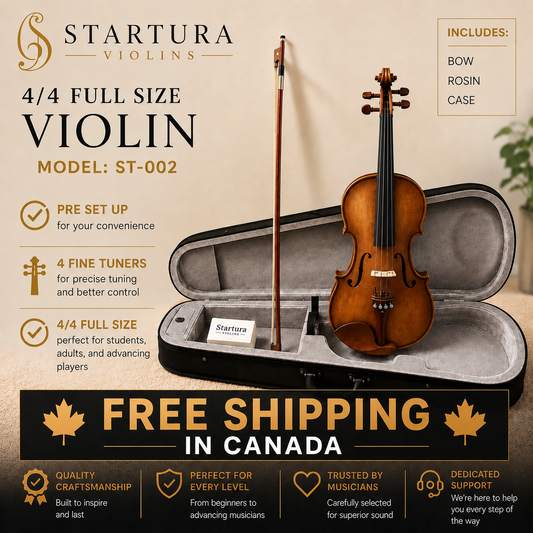 4/4 Full Size Violin Kit ST-002
